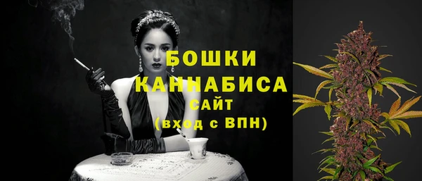 сатива Армянск