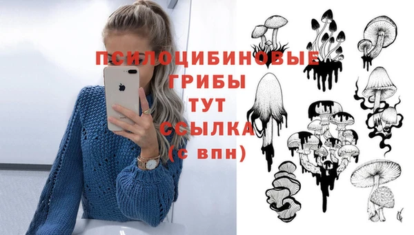 гидропоника Лагань
