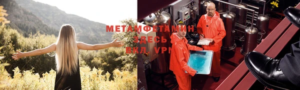 сатива Армянск