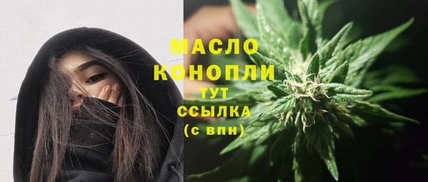 сатива Армянск