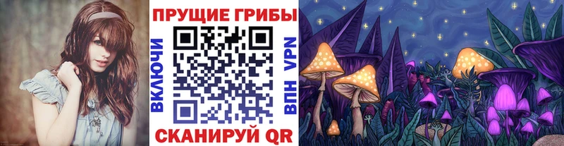 Галлюциногенные грибы мицелий  hydra маркетплейс  Макушино 